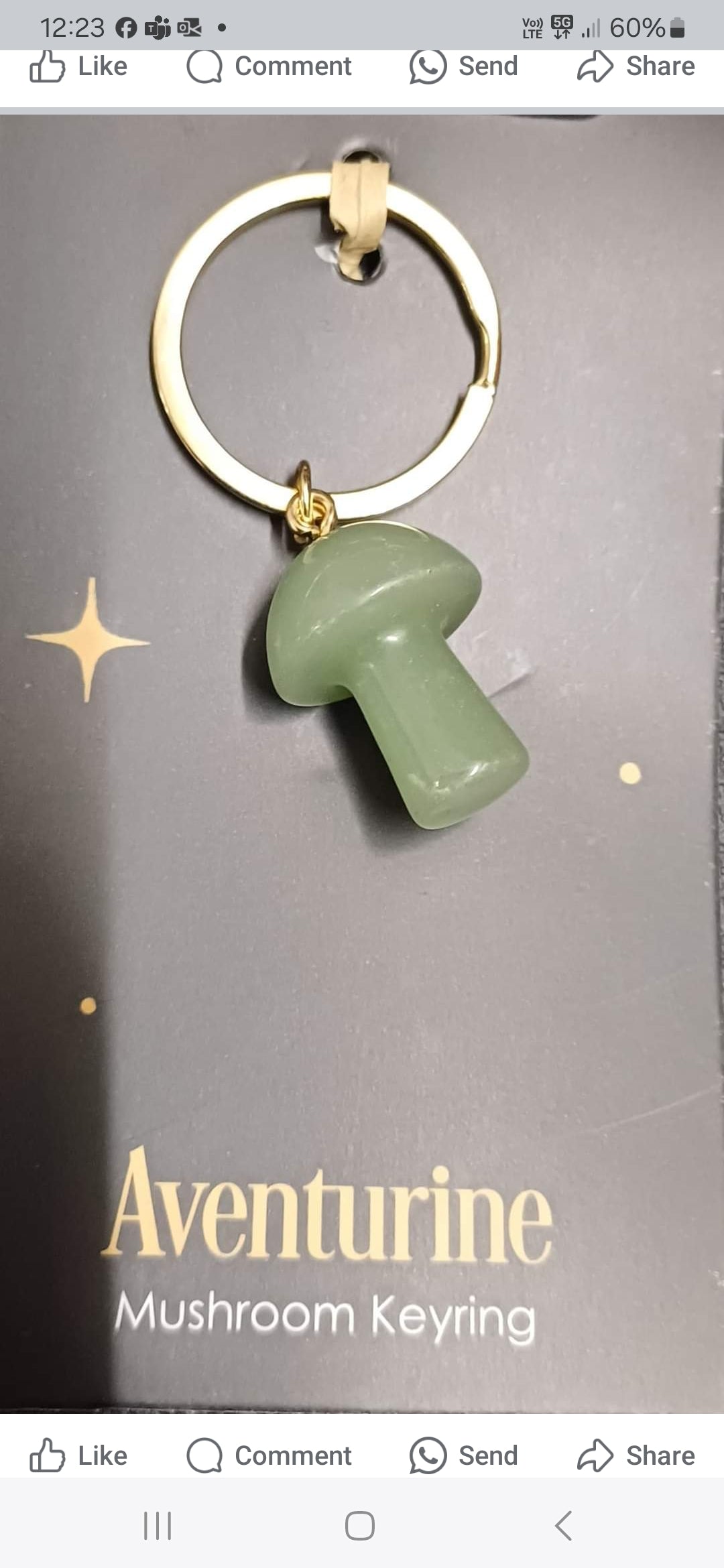 Adventurine Crystal Mushroom Key Rings