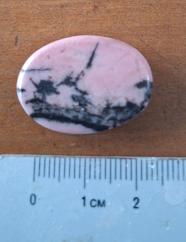 Rhodnite Cabochon