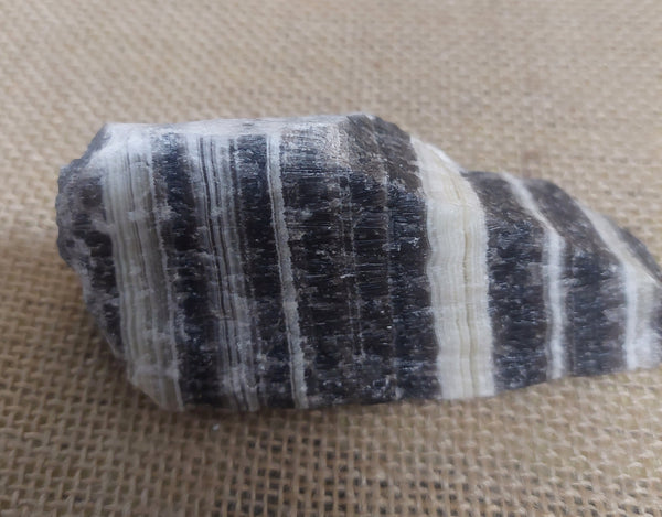 Zebra Aragonite