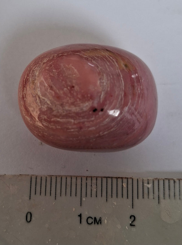 Pink Petrified Wood