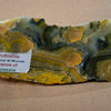 Bumblebee Jasper