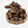 Feng Shui Money Toad