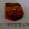 Amber Stone