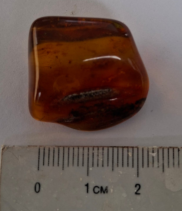 Amber Stone