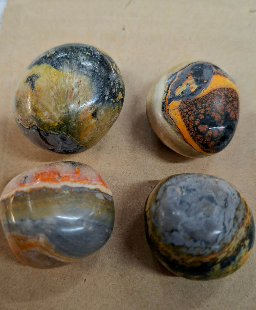 Bumblebee Jasper