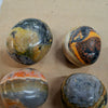 Bumblebee Jasper