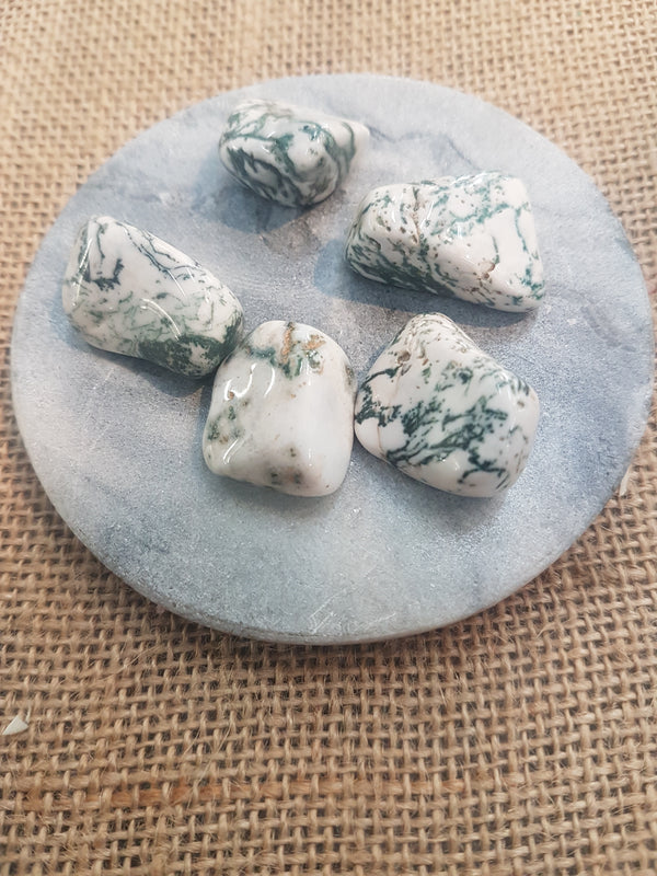 Tree Agate tumbled stones