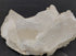 Angel Wing Calcite